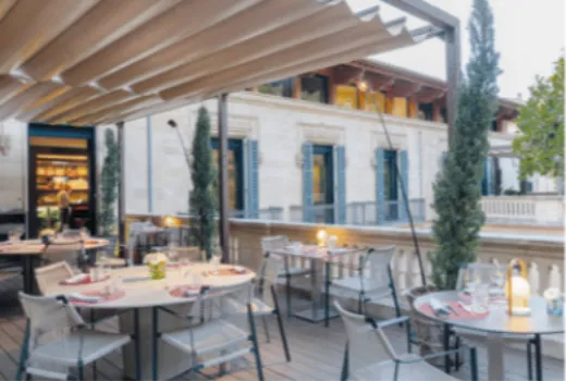 Descripción de la imagen